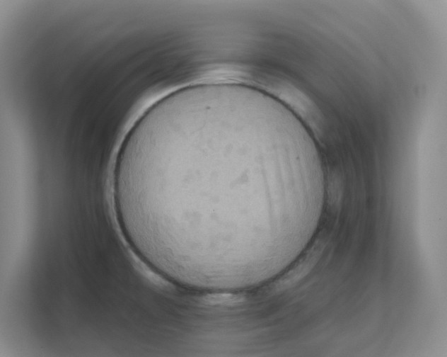 X0000111361478200907311002