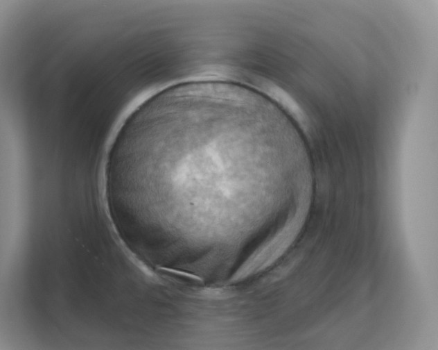 X0000111361480200907311002