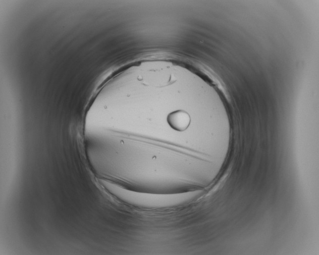 X0000111361481200907311002