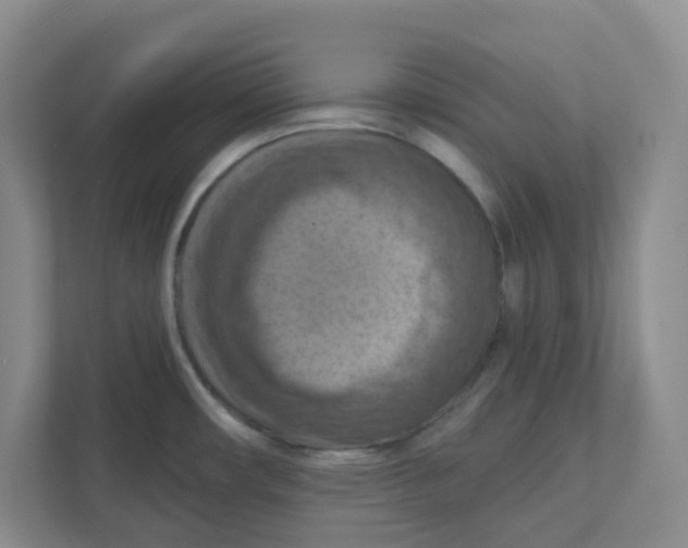 X0000111361482200907311002