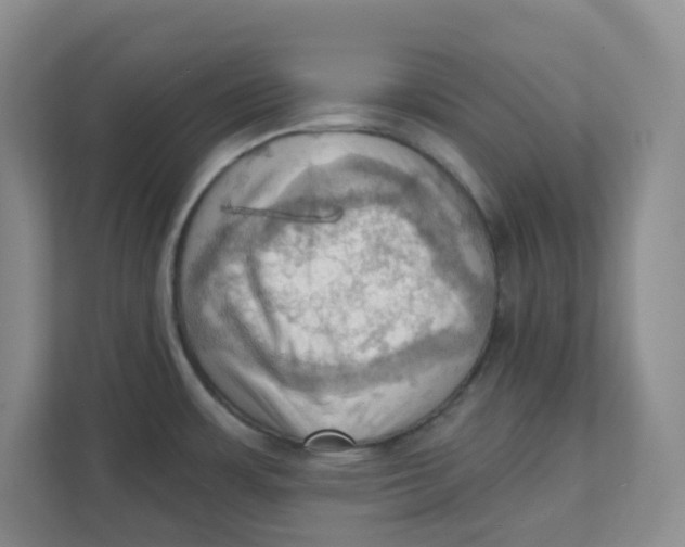 X0000111361483200907311002
