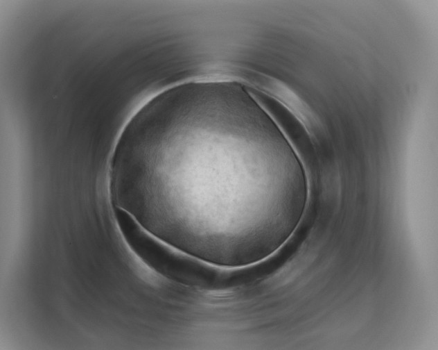 X0000111361484200907311002