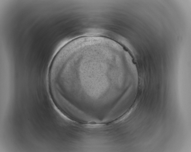 X0000111361487200907311002