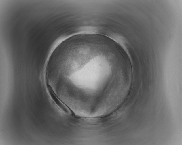 X0000111361488200907311002