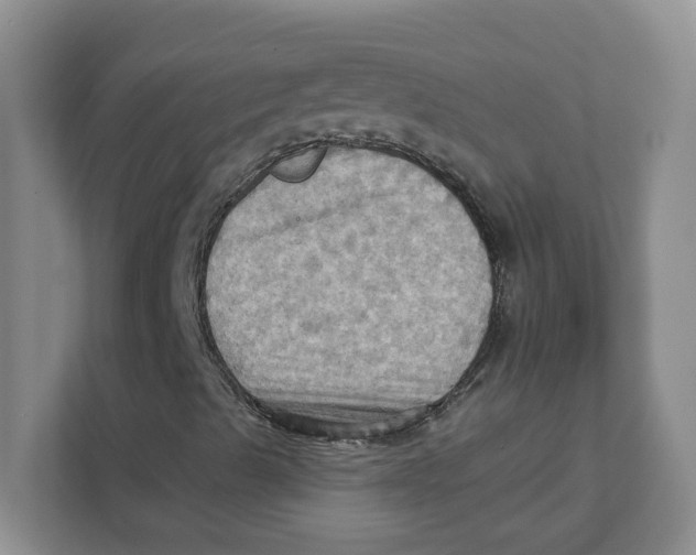 X0000111361489200907311002