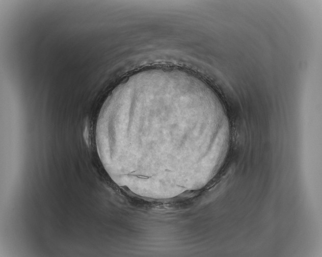 X0000111361490200907311002