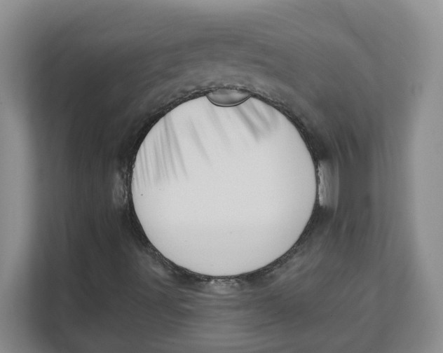 X0000111361491200907311002