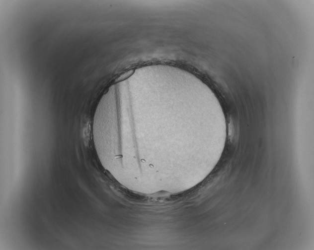 X0000111361492200907311002