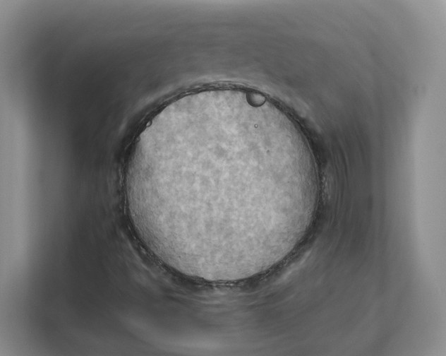 X0000111361494200907311002
