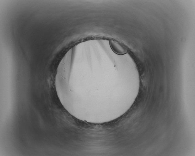 X0000111361495200907311002