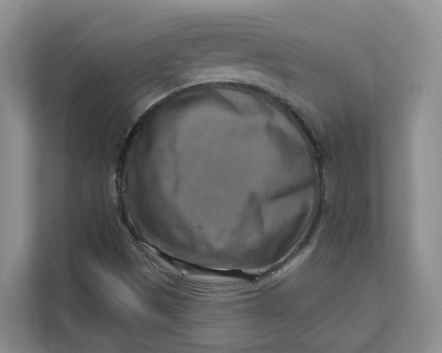 X0000111361497200907311002