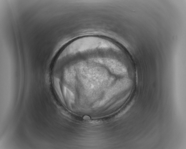 X0000111361501200907311002