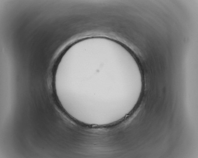 X0000111361502200907311002