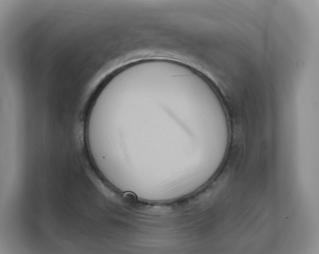 X0000111361503200907311002