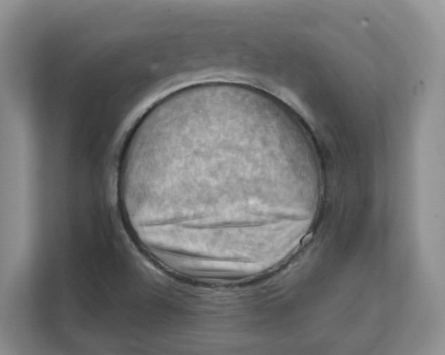 X0000111361504200907311002