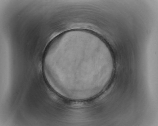 X0000111361505200907311002