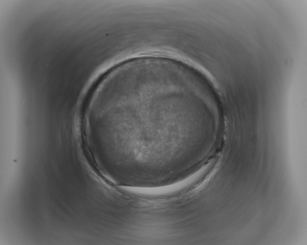 X0000111361506200907311002