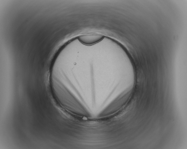 X0000111361507200907311002
