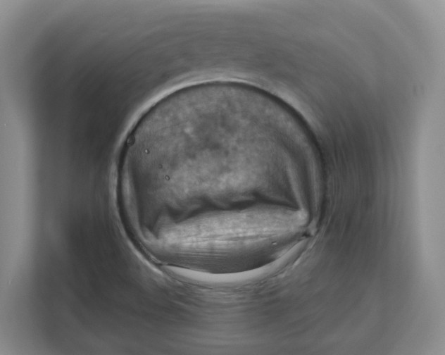 X0000111361508200907311002