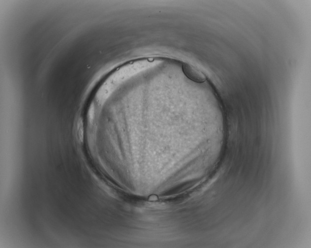 X0000111361509200907311002