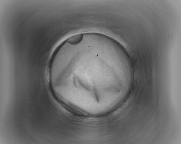 X0000111361510200907311002