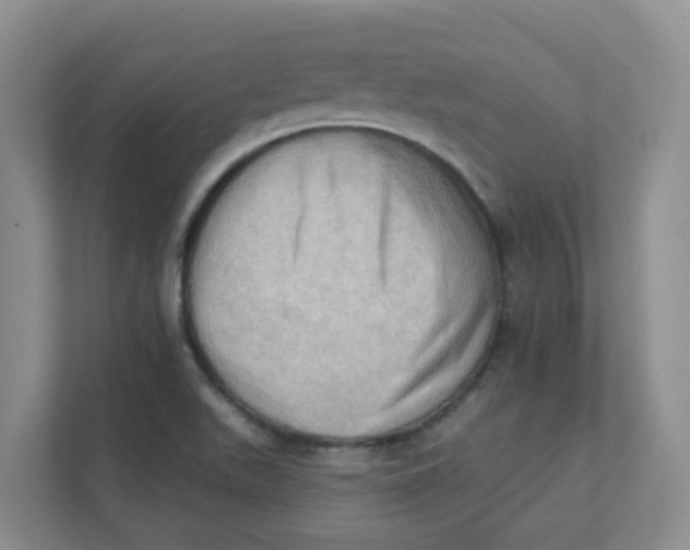 X0000111361511200907311002