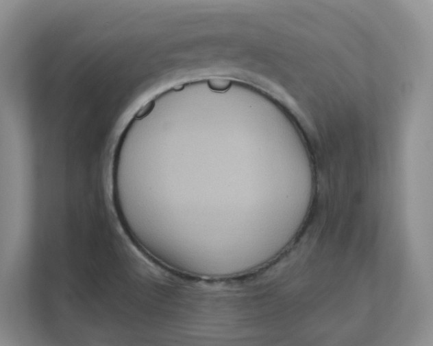 X0000111361512200907311002