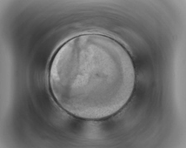 X0000111361514200907311002
