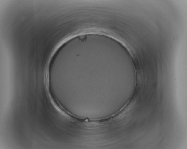 X0000111361515200907311002