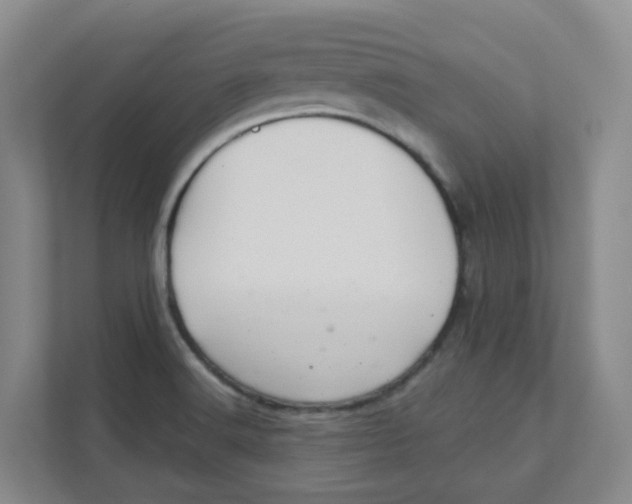 X0000111361516200907311002