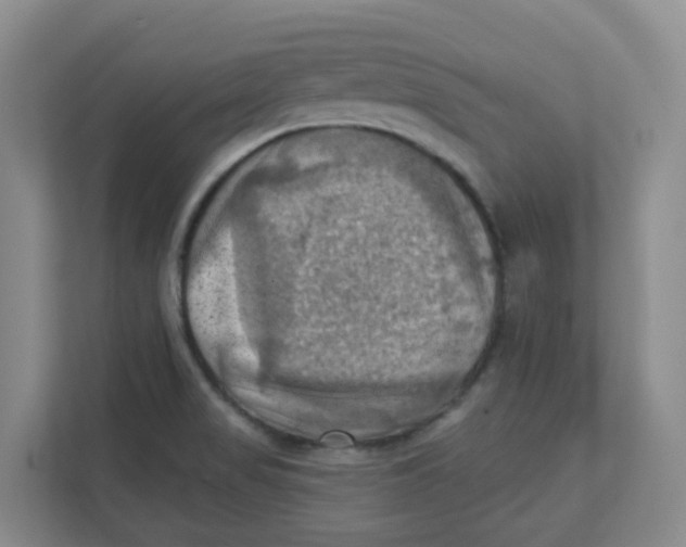 X0000111361517200907311002