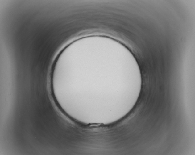 X0000111361518200907311002