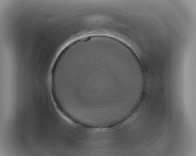 X0000111361519200907311002