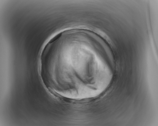 X0000111361520200907311002