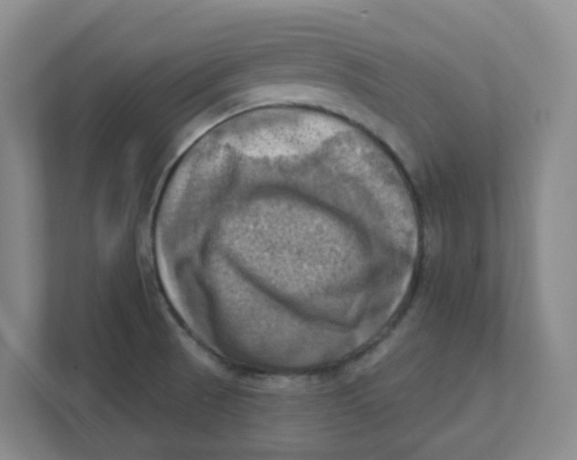 X0000111361521200907311002