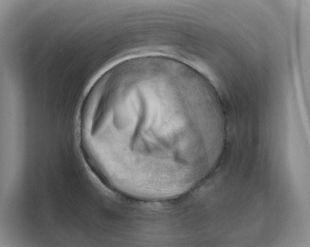 X0000111361524200907311002
