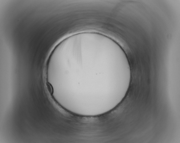 X0000111361526200907311002