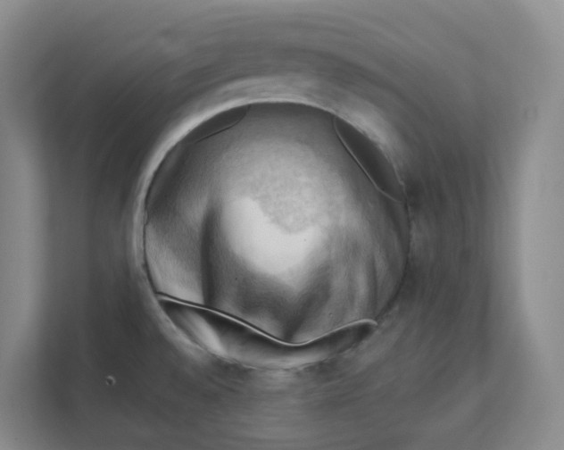 X0000111361528200907311002