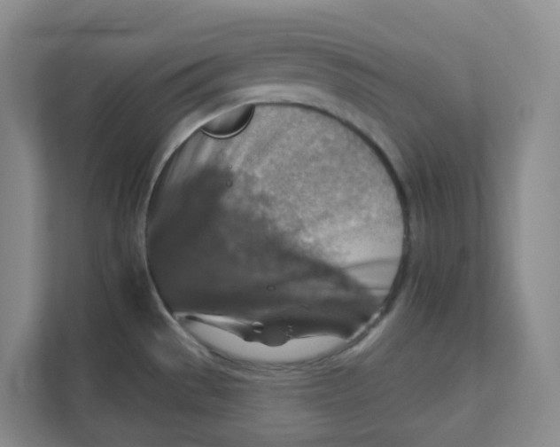 X0000111361529200907311002