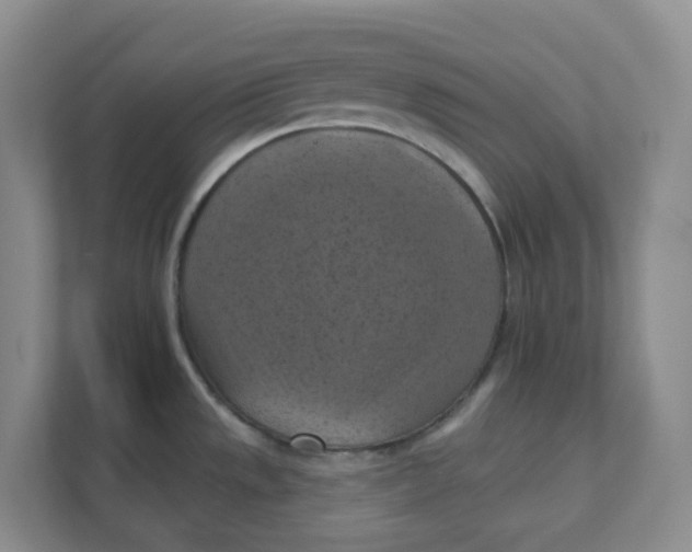 X0000111361533200907311002