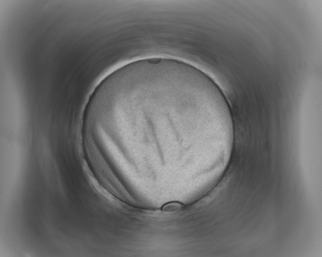 X0000111361534200907311002