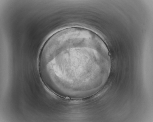 X0000111361535200907311002