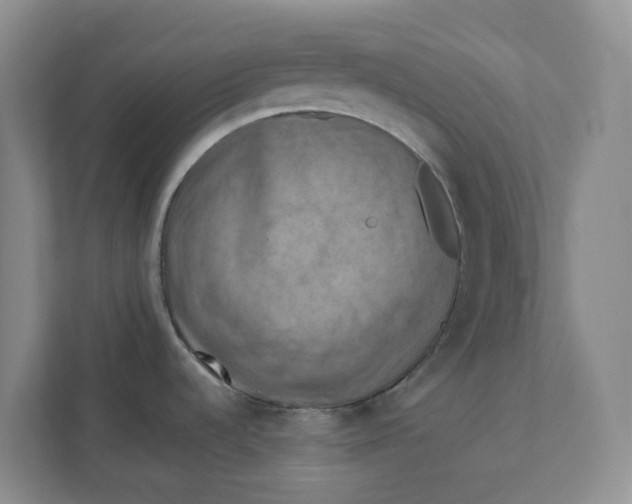 X0000111361536200907311002