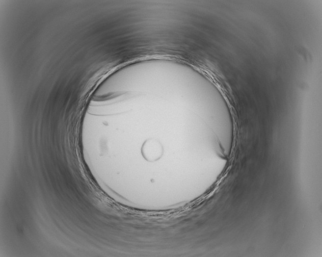 X0000111360001200908071203