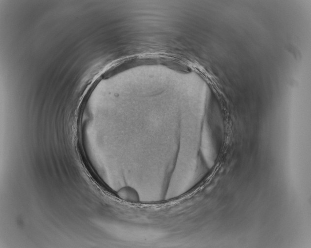 X0000111360002200908071203