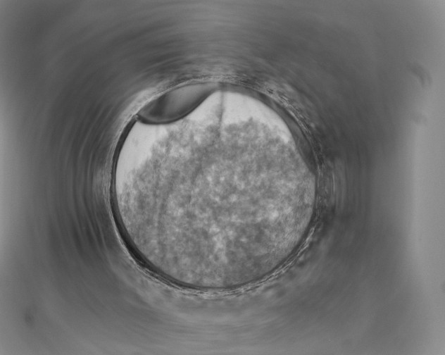 X0000111360003200908071202