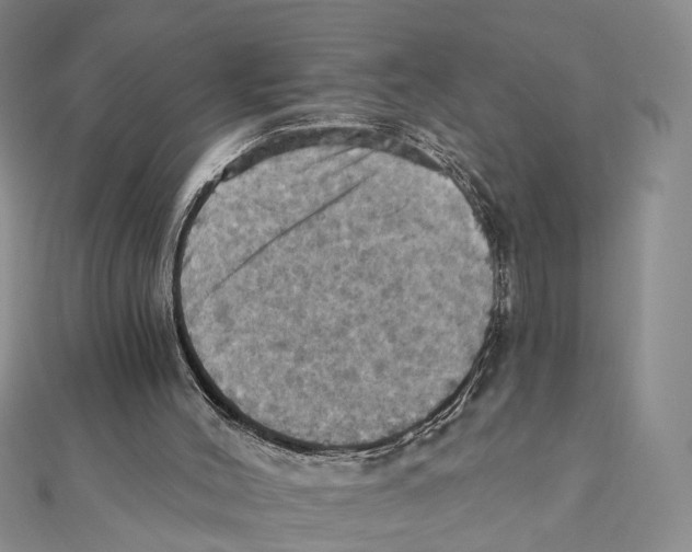 X0000111360004200908071202