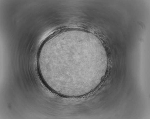 X0000111360005200908071202