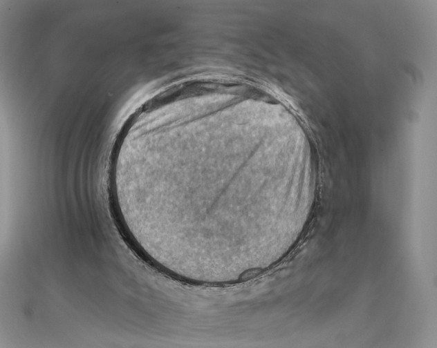 X0000111360007200908071202