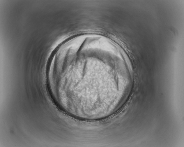 X0000111360008200908071202